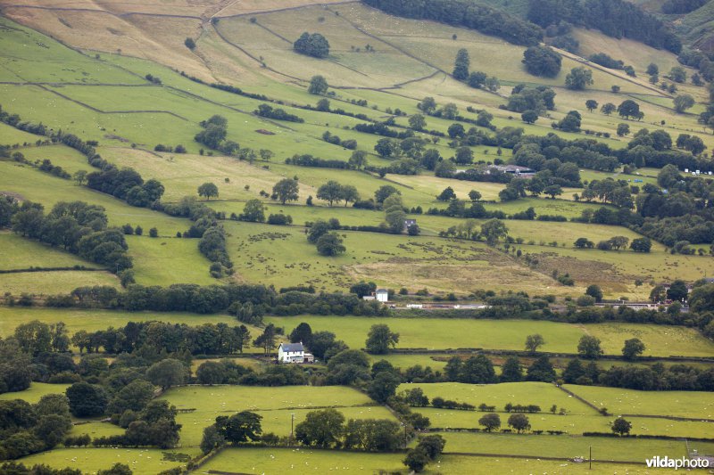 Houtkanten in de heuvels van het Peak District