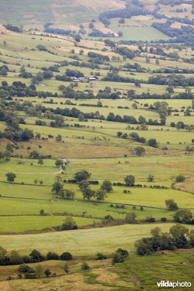 Houtkanten in de heuvels van het Peak District