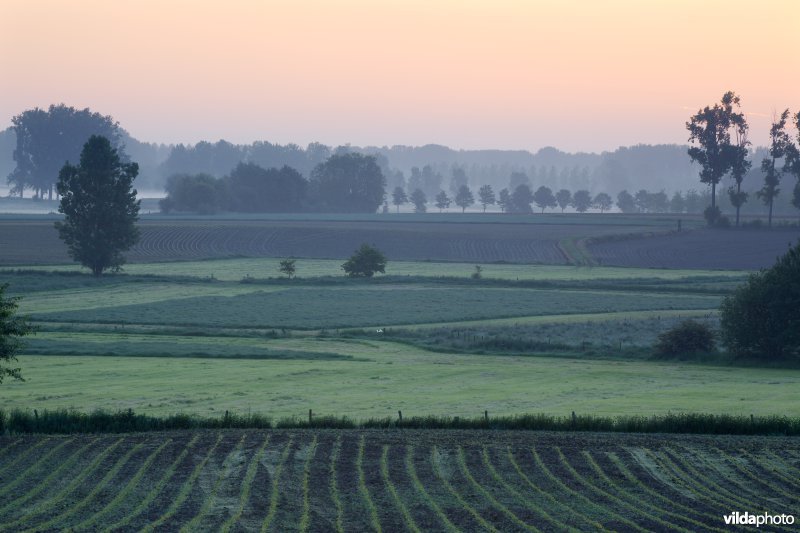 Ochtendlicht boven de Getevallei