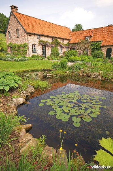 Tuinvijver