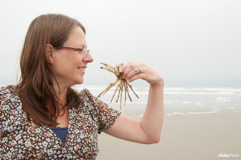 Vrouw bekijkt een strandkrab met zeepokken