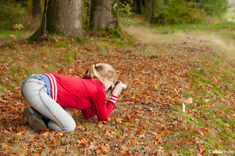 Meisje fotografeert vliegenzwam