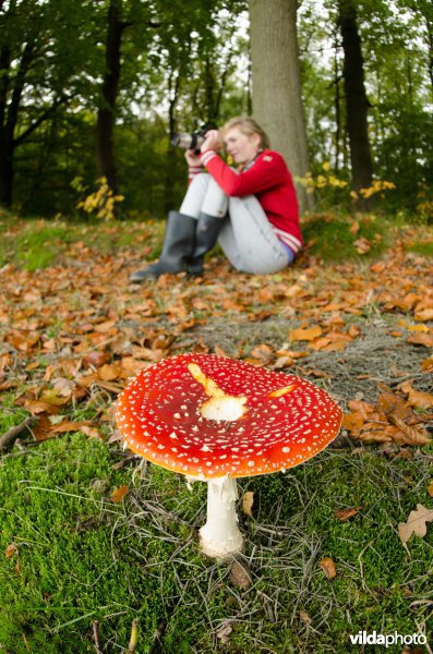 Meisje fotografeert vliegenzwam