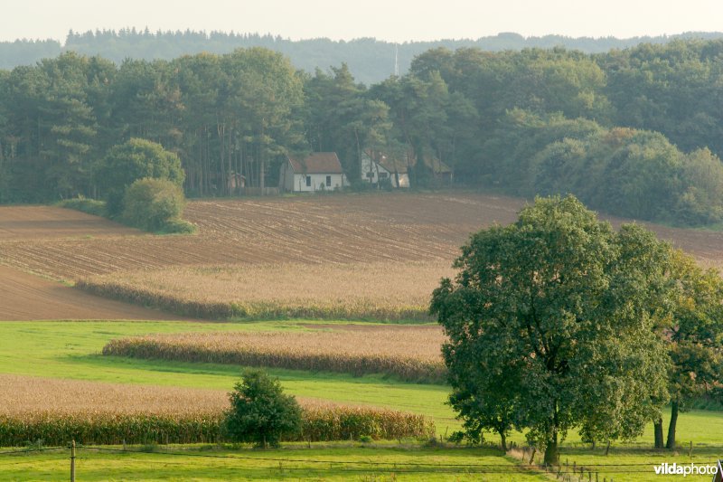 Gevarieerd landbouwlandschap