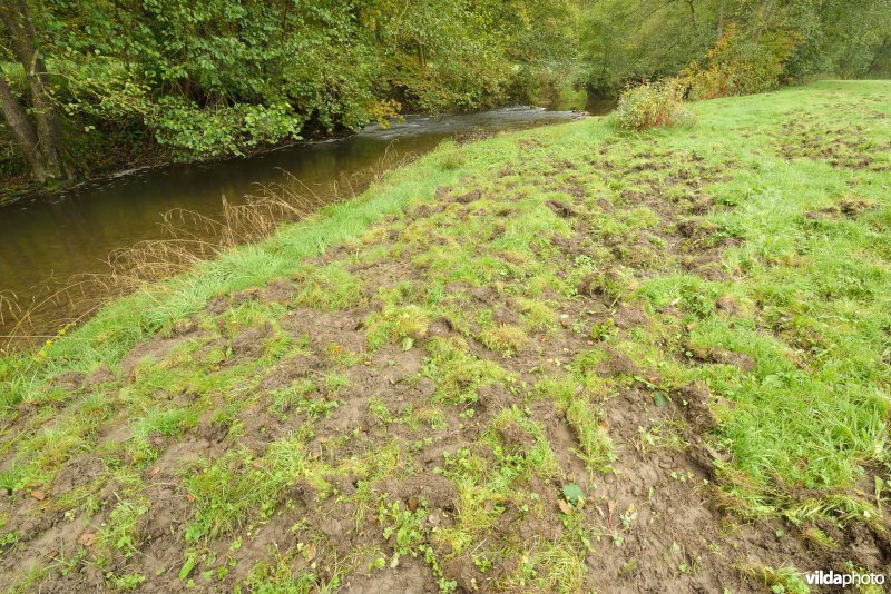 Vallei van de Hermeton