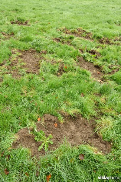 Vallei van de Hermeton