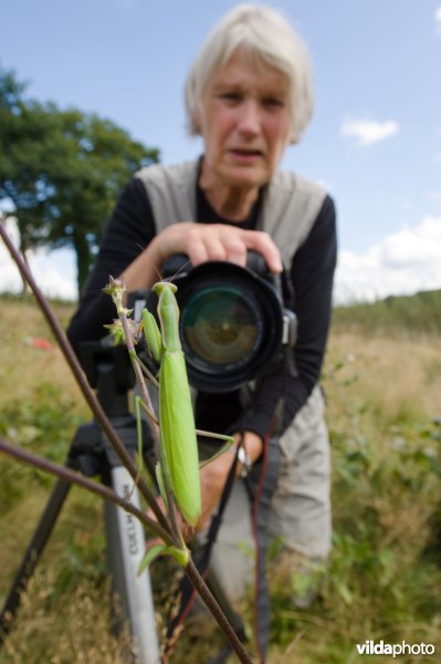 Bidsprinkhaan en fotografe