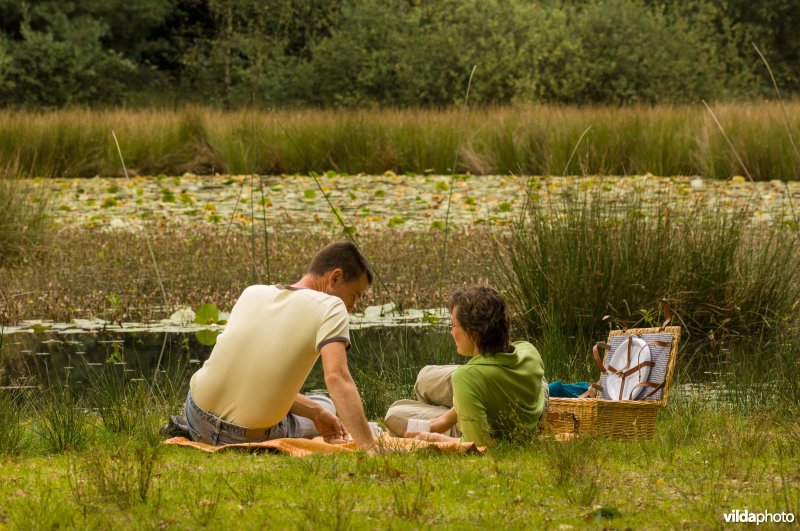 Een gezin rust uit en eet aan de oever van een ven in De Meinweg