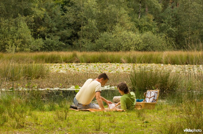 Een gezin rust uit en eet aan de oever van een ven in De Meinweg