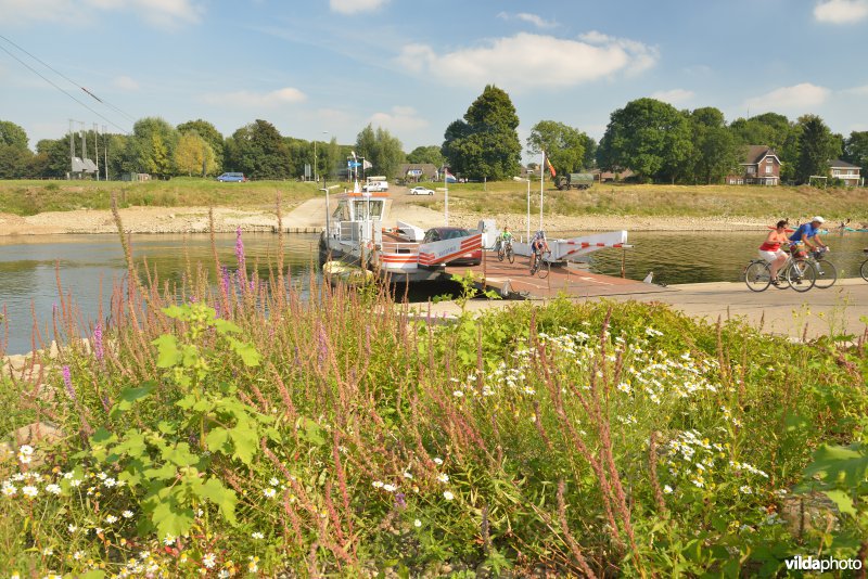 Veerboot Meeswijk-Berg