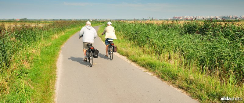 Fietsers in de Uitkerkse Polders