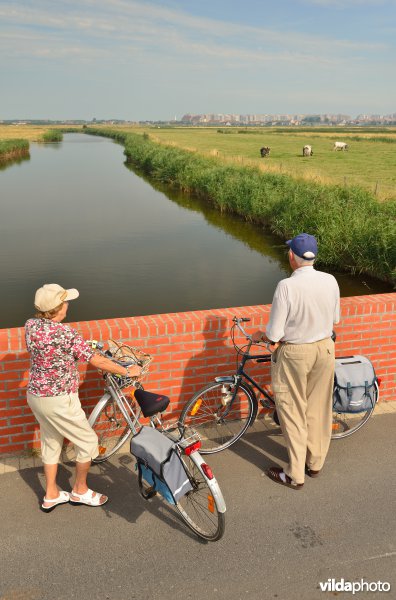 Fietsers in de Uitkerkse Polders