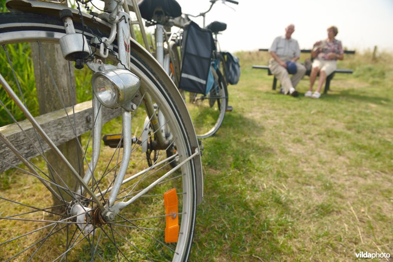 Fietsers in de Uitkerkse Polders