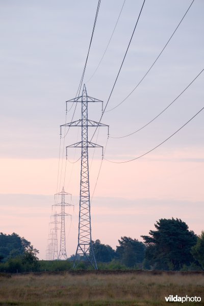 Een heidecorridor onder een hoogspanningslijn