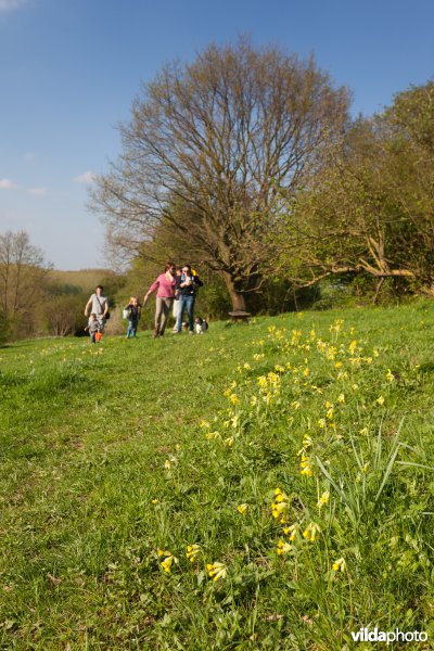 Wandelaars in een natuurgebied