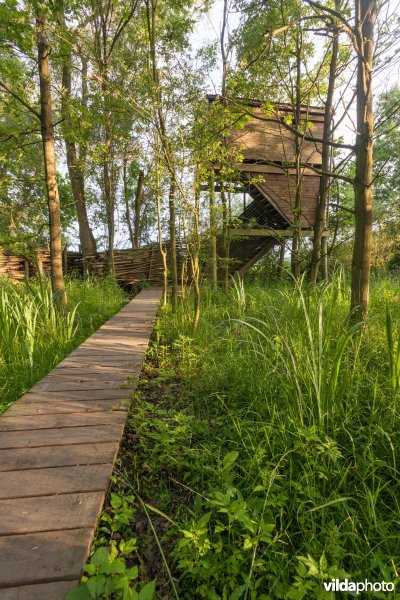 Plankenpad naar de uitkijktoren