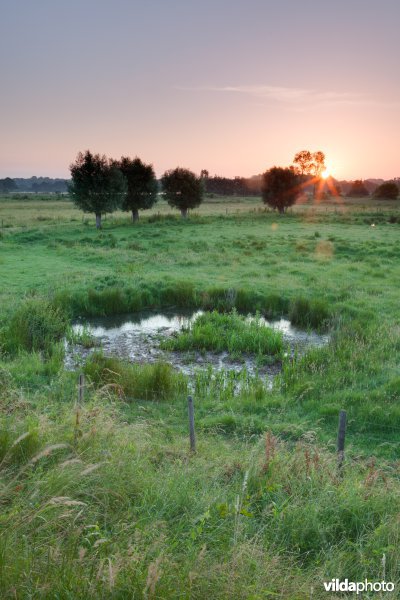 Bomkrater in het Mechels broek