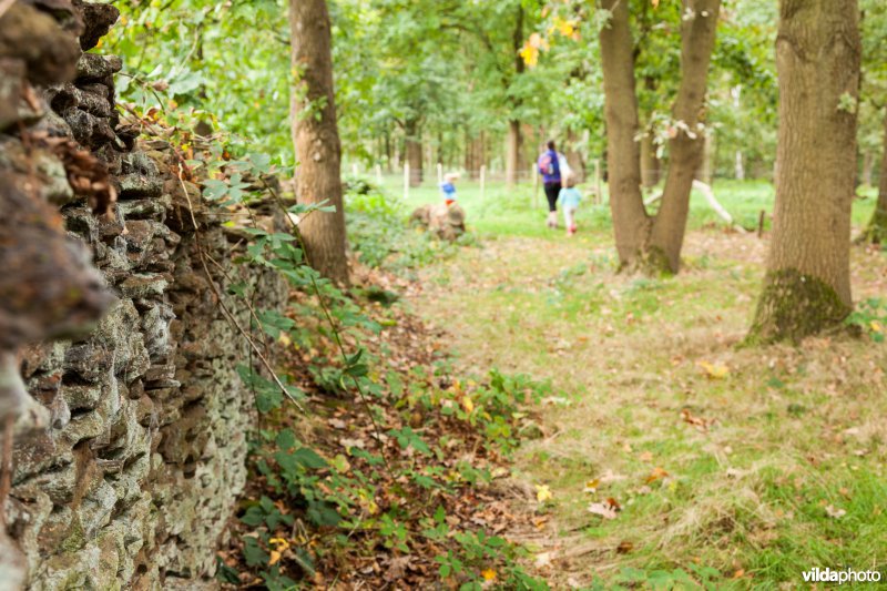 Wandelen langs de wijnmuur