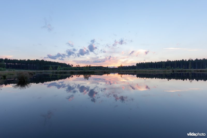 Reflectie van wolken in een ven
