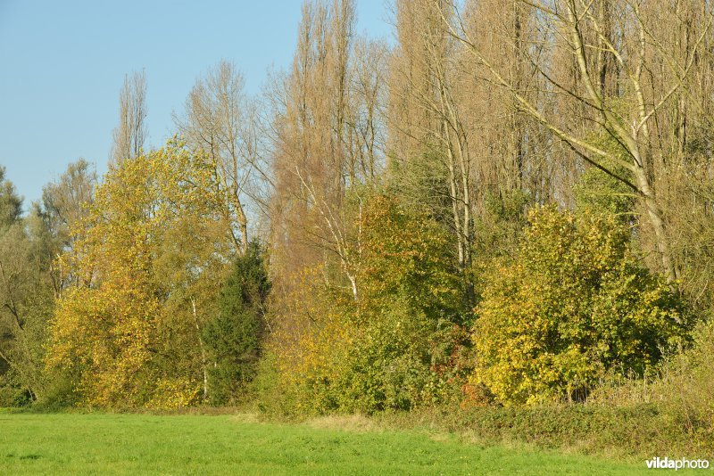 Hobokense polder