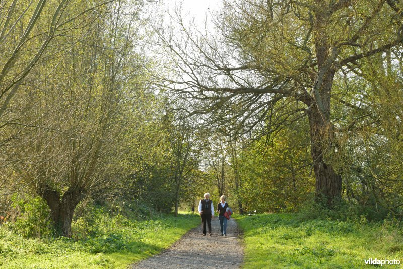 Natuurreservaat De Bourgoyen