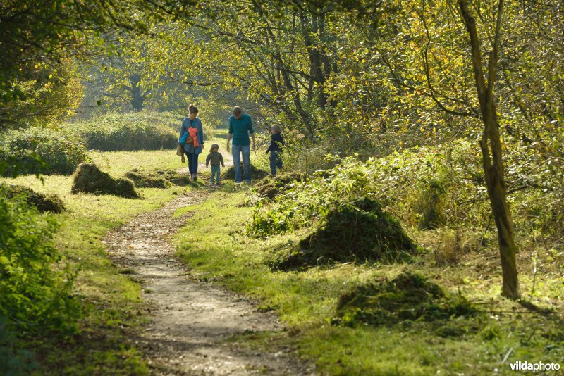 Natuurreservaat De Bourgoyen