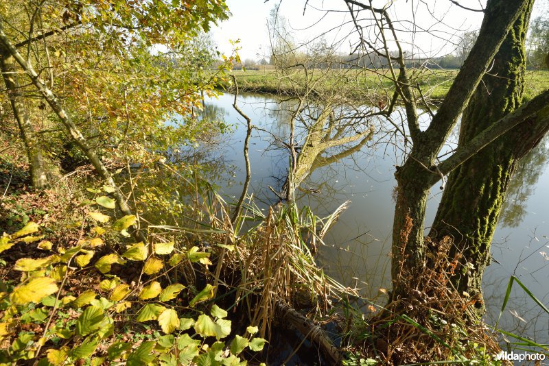 Natuurreservaat De Bourgoyen