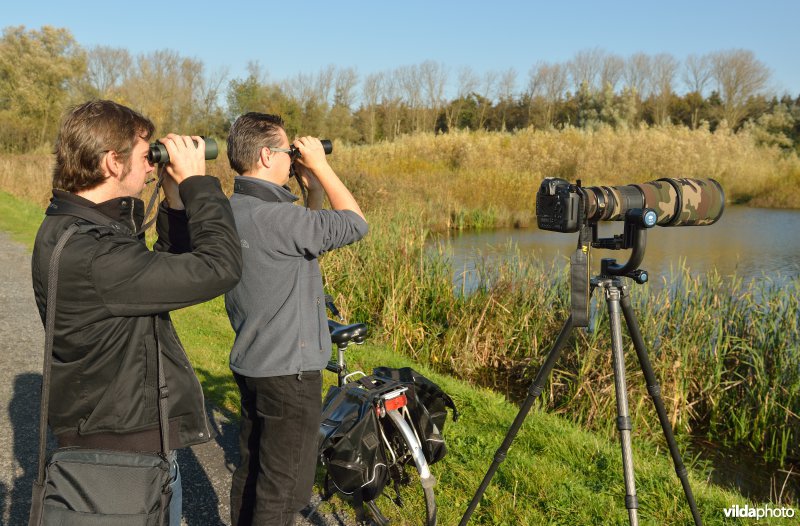 Natuurreservaat De Bourgoyen