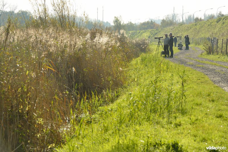 Natuurreservaat De Bourgoyen