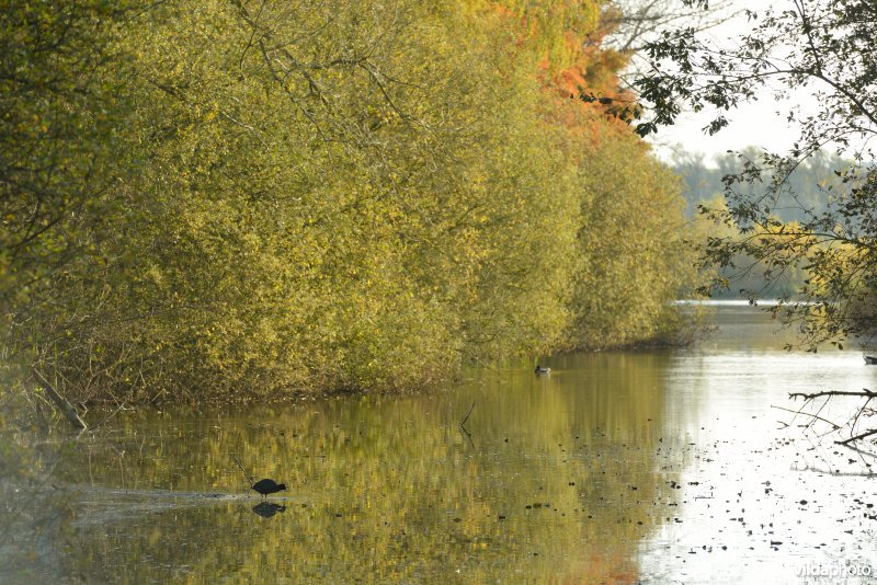 Natuurreservaat De Bourgoyen