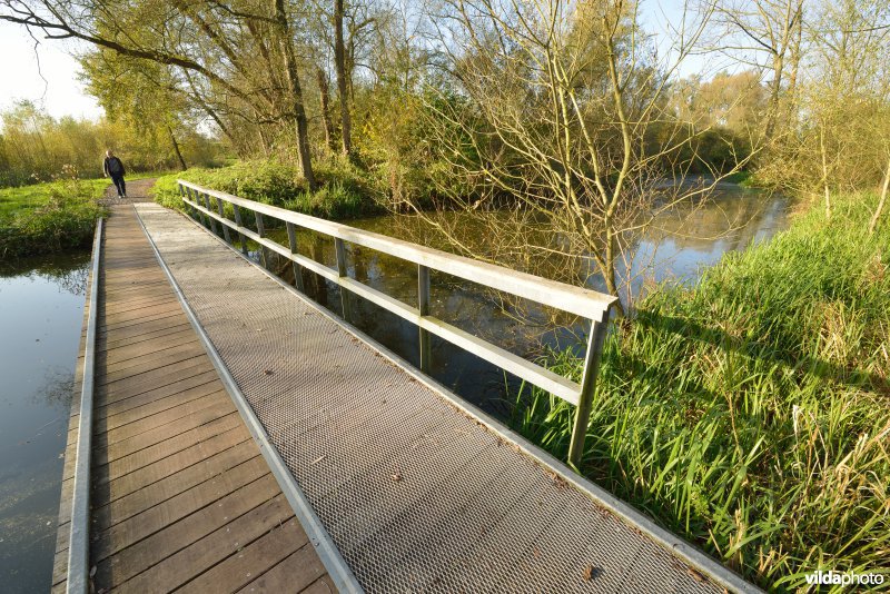 Natuurreservaat De Bourgoyen