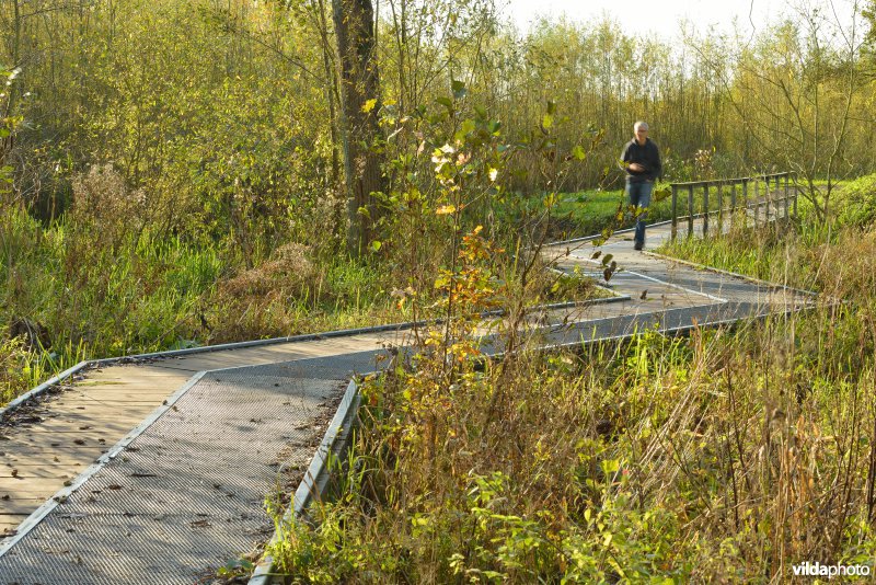 Natuurreservaat De Bourgoyen