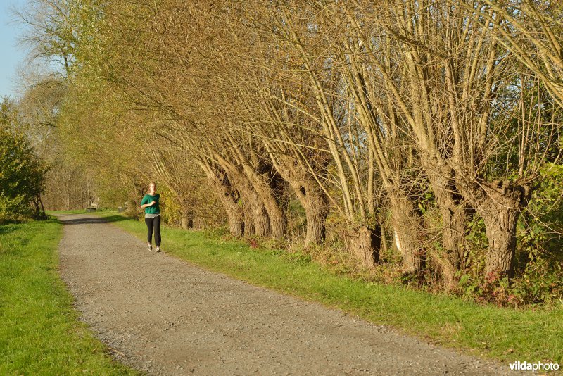 Natuurreservaat De Bourgoyen