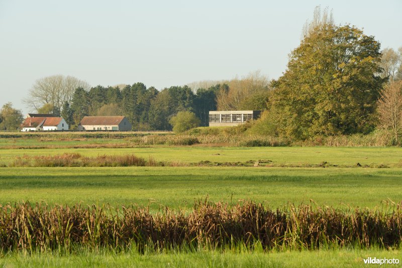 Natuurreservaat De Bourgoyen