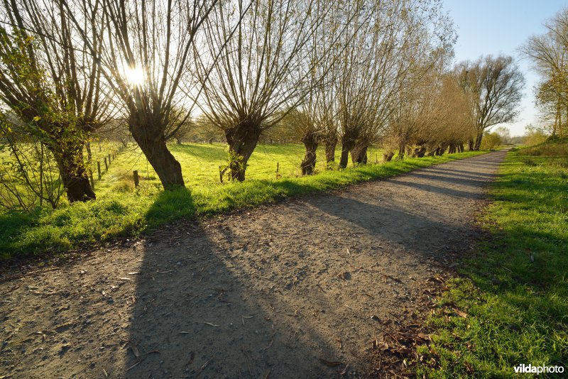 Natuurreservaat De Bourgoyen