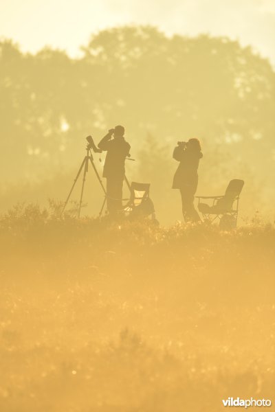 Natuurreservaat De Maten