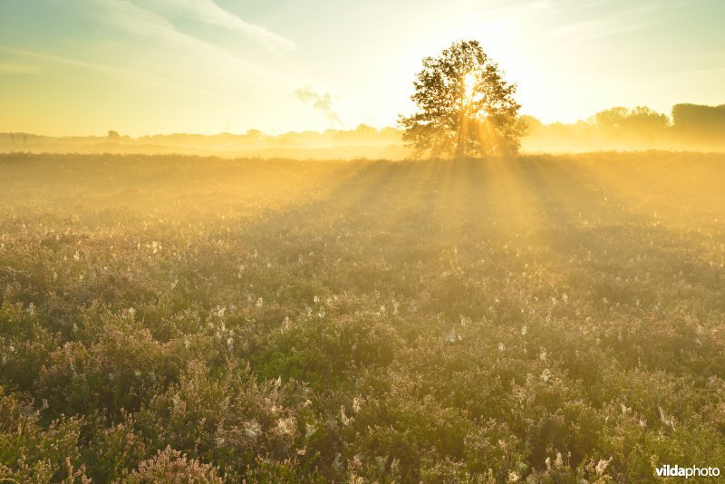 Natuurreservaat De Maten