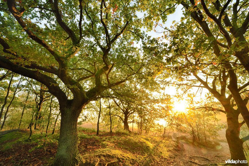 Natuurreservaat De Maten