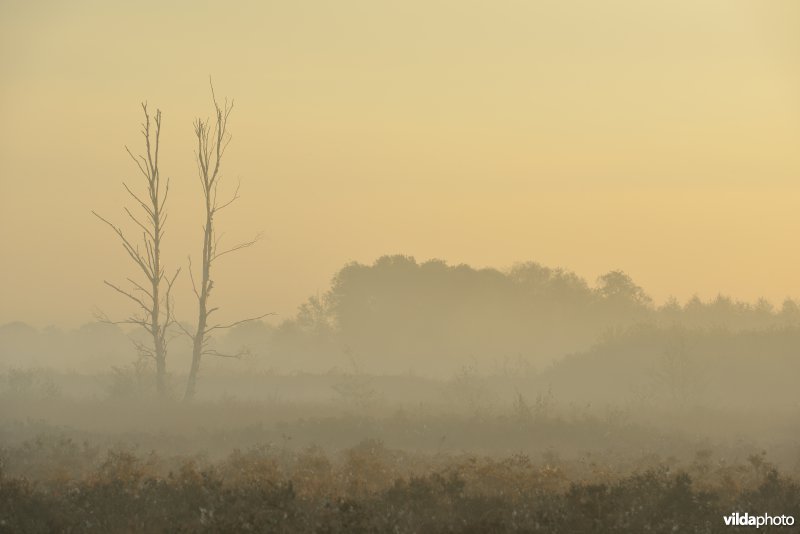 Natuurreservaat De Maten