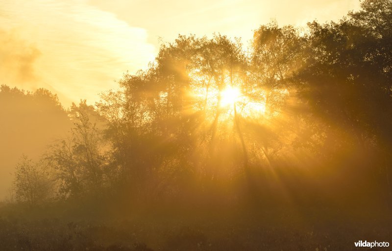 Natuurreservaat De Maten