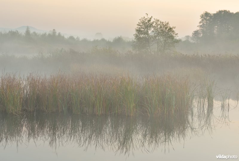 Natuurreservaat De Maten