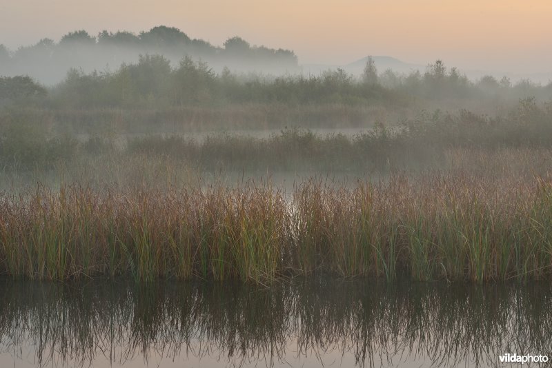 Natuurreservaat De Maten