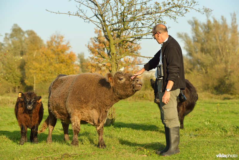 Wandelen in de Hobokense polders 