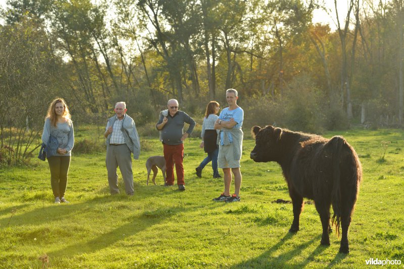 Wandelen in de Hobokense polders 