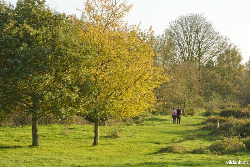 Hobokense polder