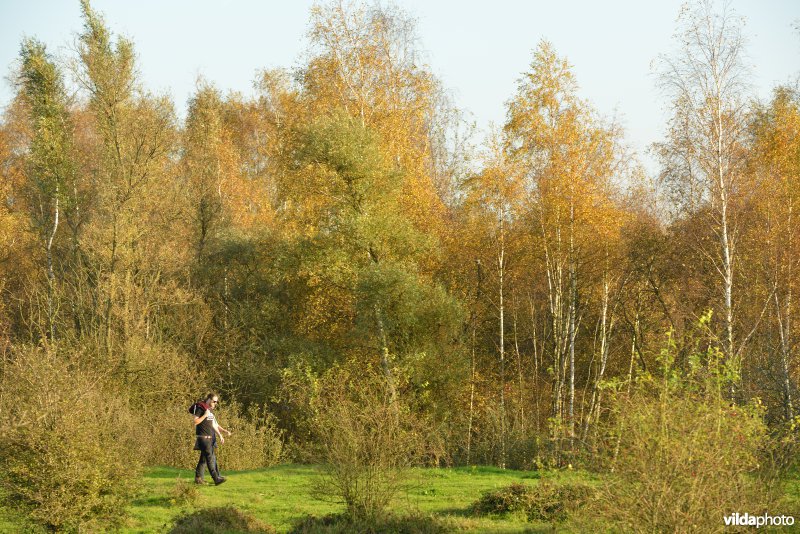 Hobokense polder