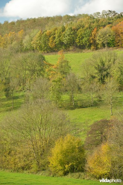 Altenbroek