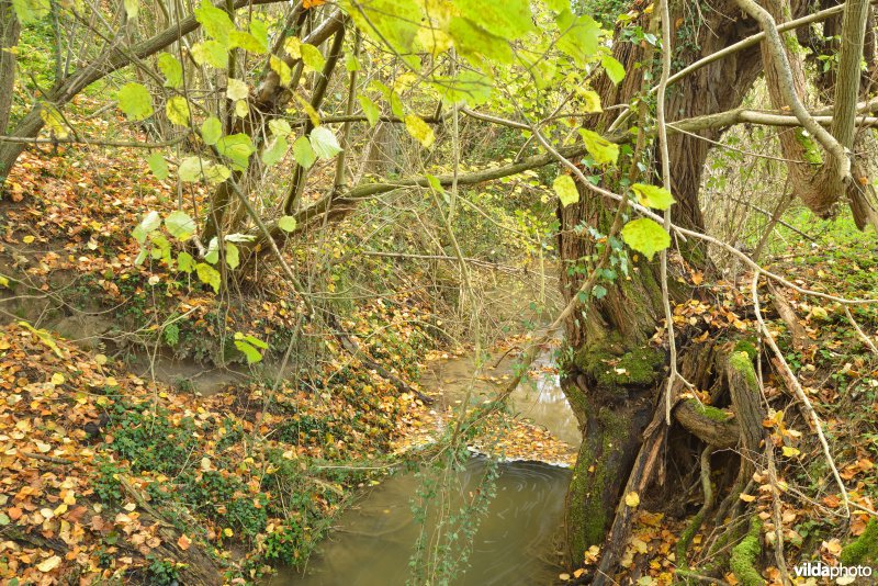 Altenbroek