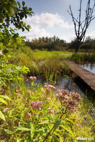 Plankenpad aan het picknickeiland