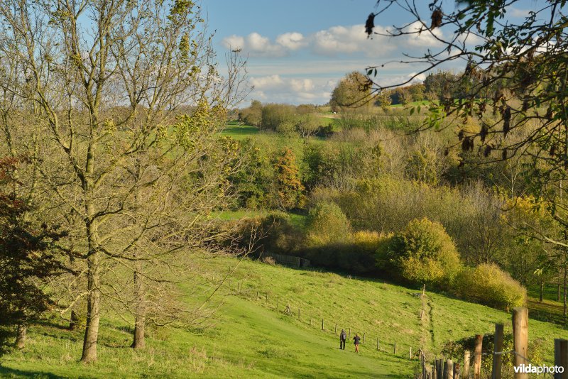 Altenbroek
